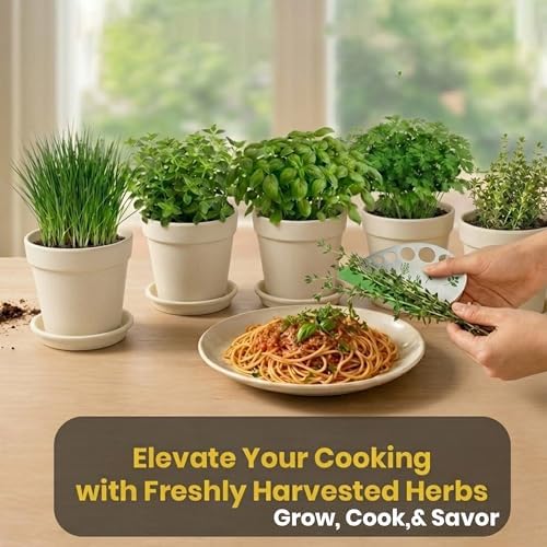 47 PCS Herb Garden Seeds Starter Kit, 10 Non-GMO Culinary Herb Seeds with Beige Pots & Planters for Windowsill, Herb Growing Kit Indoor & Outdoor, Unique Herb Garden Gift Set for Gardening Lovers - Image 7