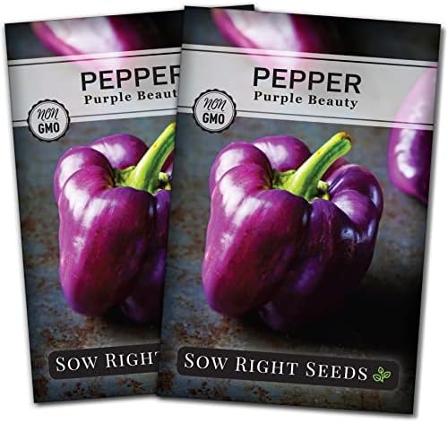 Sow Right Seeds - Purple Beauty Seed for Planting Sweet Bell Peppers 2pk by SowRightSeeds