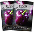 Sow Right Seeds - Purple Beauty Seed for Planting Sweet Bell Peppers 2pk by SowRightSeeds