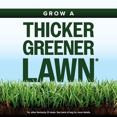 Scotts Kentucky 31 Grass Seed Mix, 40 lbs. - Image 2