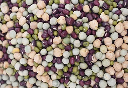 1 Pound Protein Bean Sprout Starter Seeds - 16 Servings per Bag - Organic NON-GMO - Includes Garbanzo, Adzuki, Mung, and Green Pea - Image 3