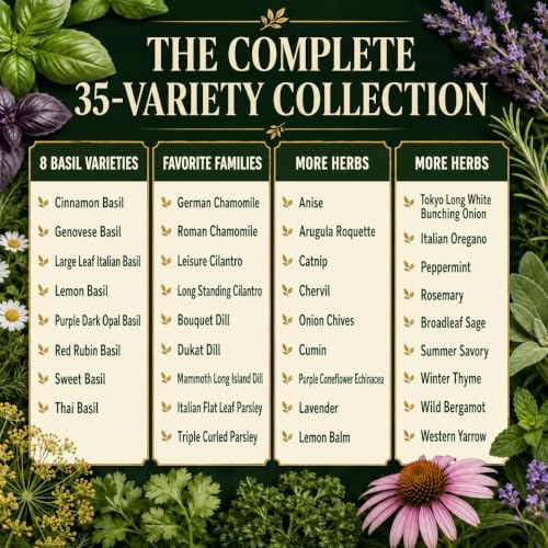 Gardeners Basics 35 Medicinal Herb Seeds Variety Pack for Planting, Non-GMO - Image 3