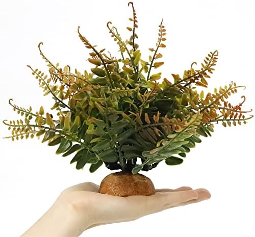 Fall Colors Boston Fern, Reptile Terrarium Snake Tank Accessories - Image 3