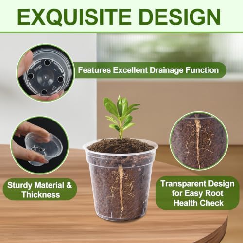 30 Pcs 2 Inch Clear Mini Nursery Pots, Seedling Pots with Drainage Holes - Image 3