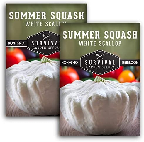 White Scallop Patty Pan Squash Seeds for Planting (2 Packs) by SurvivalGardenSeeds