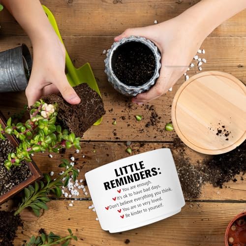 Office Desk Shelf Decor, Funny Succulent Plant Pot (Plants Not Included) - Image 5