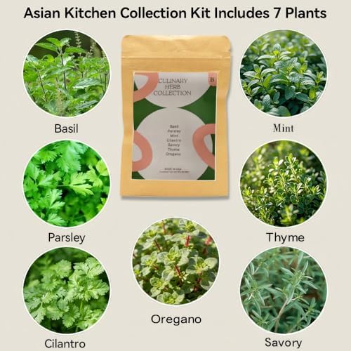 inbloom Hydroponics Herb Seed Pod Kit for AeroGarden, iDoo, Ahopegarden, GARDENCUBE, 7 Pods (350+ Herb Seeds with Basil, Parsley, Mint, Cilantro, Savory, Thyme and Oregano) - Image 2