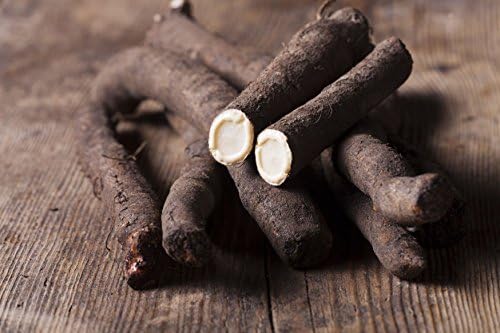 Seeds Oyster Plant Black Root - Salsify Scorzonera - Heirloom Vegetable - GMO Free - Image 5