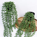 Artificial Hanging Plants for Shelf, 2-Pack Fake Potted Greenery Faux String of Pearls in Black Pot, Décor for Office Living Room Bathroom Indoor Outdoor by Unknown