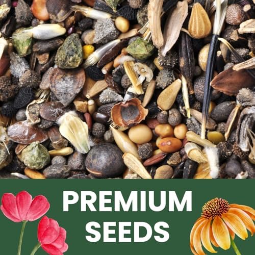 Perennial Species Mix - Large 1 Ounce Packet - 15,000 Flower Seeds for Planting - Wildflower Mix - Image 5