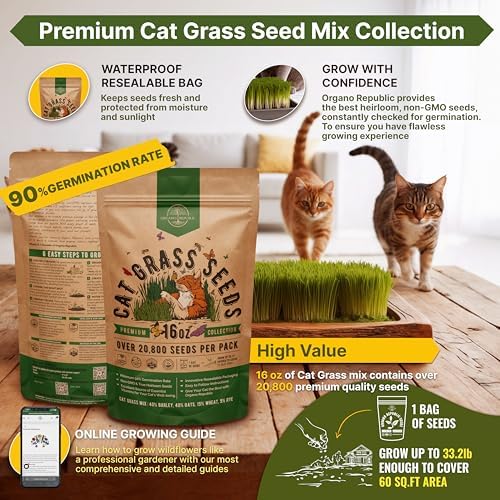 Cat Grass Seeds Mix - 20,800 Non-GMO Heirloom Seeds for Cats & Pets, 16 oz Pack for Growing Fresh Barley, Oat, Rye & Wheat Grass Seeds for Planting, Indoor Plants, Hairball Remedy - Image 2