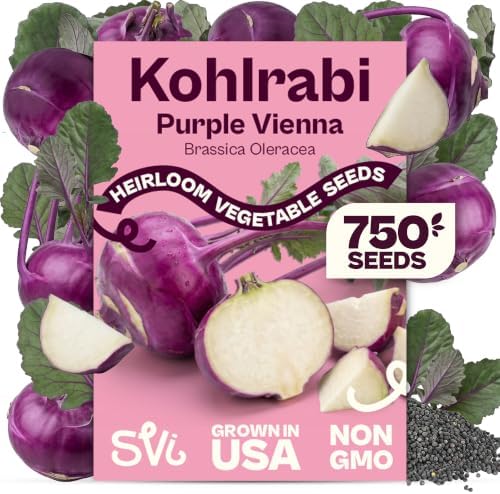 SVI 750 Purple Vienna Kohlrabi Heirloom Vegetable Seeds Brassica oleracea by SVI