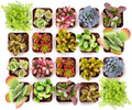 Shop Succulents Endless Summer Succulent Pack Collection - Live Mini Succulent Plants, Low Maintenance, Colors & Textures - Wedding and Party Favors, Gift & Garden, Pack of 20 by ShopSucculents