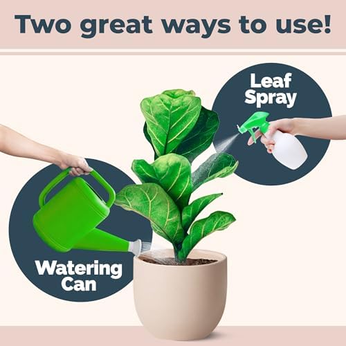 Fiddle Leaf Fig Fertilizer, Liquid Plant Food for Bigger Leaves, 1 Gallon - Image 4
