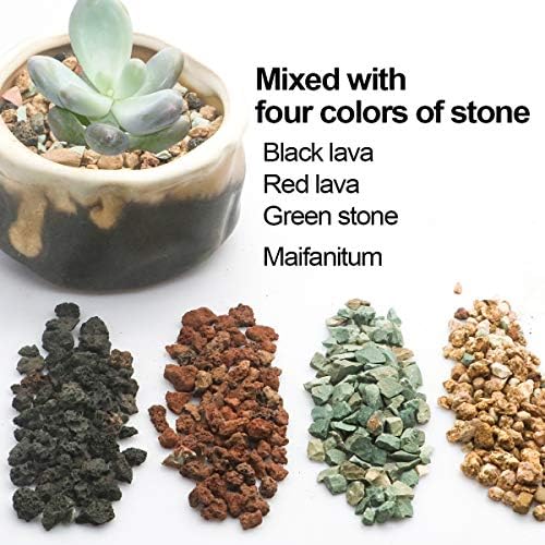 Mix Horticultural Lava Pebbles Pumice Potting Soil Amendment Succulent Cactus Bonsai Gritty Rock Decorative Gravel Plant Drainage Volcanic Rock for Terrarium Fairy Gardening Top Dressing 2.2lb - Image 3