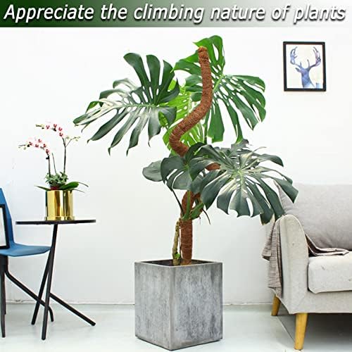 60 Inch Moss Pole for Plants Monstera, Tall Bendable Moss Poles for Climbing Plants Indoor, Large Handmade Plant Pole Sticks, Coco Coir Plant Support Stakes for Potted Plants, Pothos - Image 6