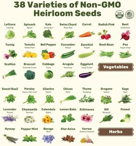 LUSH&DEW SeedStack Starter Pair, Gardening Gifts, 38 Type Veggie Herb Seeds - Image 2