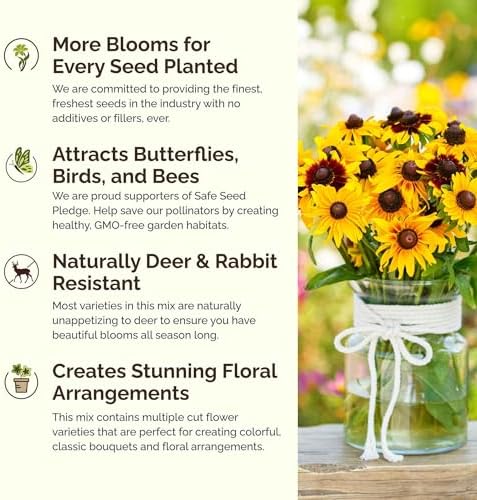Eden Brothers Daisy Crazy Flower Mixed Seeds for Planting, 1 lb, 480,000+ Seeds with Creeping, Painted, Yellow Daisy | Attracts Pollinators, Plant in Spring or Fall, Zones 3, 4, 5, 6, 7, 8, 9, 10 - Image 4