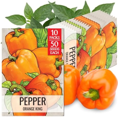 Seed Needs Orange King Bell Pepper Seeds to Plant Vegetables - 10 Packs by SeedNeeds