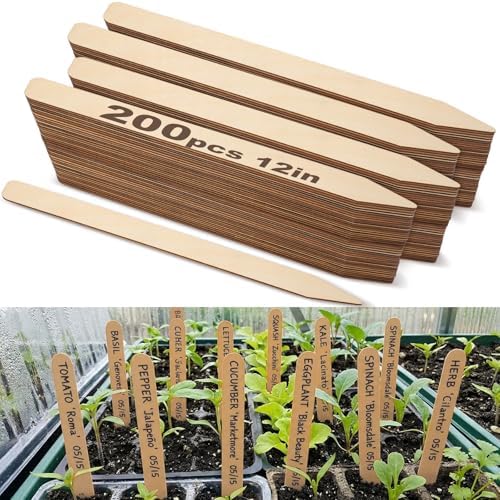 Weysat 200 Pcs 12" Wood Plant Labels for Field or Containers Plant Tags Wood Garden Labels for Seedling Stakes Markers Nursery Seed Tags with Smooth Surface for Pot Herbs Flowers Vegetables (Natural) by Weysat