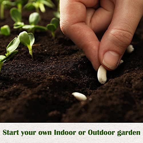 Meekear Growing into Blue Spruce, Dawn Redwood, Flame Tree, Judas Tree, Indoor Outdoor Home Gardening DIY Gifts - Image 7