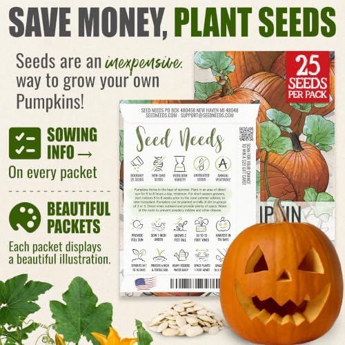 Seed Needs Connecticut Field Pumpkin Seeds to Plant Vegetables - 1 Pack - Image 3
