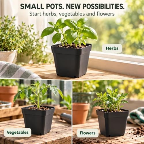 50 Packs Square Nursery Pots for Plants 4 Inch Seedling Pots - Image 6