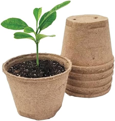 Jiffy Biodegradable Peat Pots for Seedlings, 5 Inch, 100 Pack by Jiffy