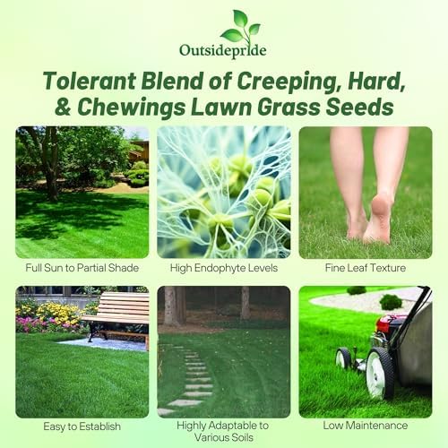 Outsidepride Legacy Fine Fescue Grass Seed Mix - 10 lbs. Perennial, Pure Raw Seed w/ 0.00% Other Crop & Weed Seed - Image 3