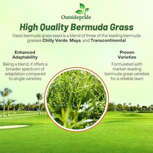 Outsidepride Oasis Bermuda Grass Seed - 5 lbs Warm Season, High Traffic, Heat Resistant, Drought-Tolerant, Low-Maintenance, Fast Growing Turf Grass for Lawn, Ideal for Sunny Areas, Thick Coverage - Image 4