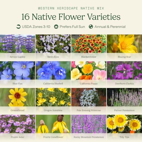 Eden Brothers Native Western Xeriscape Flower Seed Mix, 1oz, 16 Drought Tolerant Wild Flower Seed Varieties, 100% Pure No Fillers,Native Seeds for Planting Outdoors,Attracts Pollinators & Hummingbirds - Image 3
