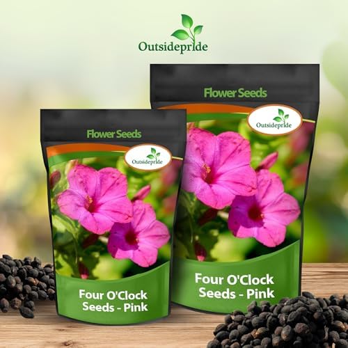 Outsidepride Pink Four O'clock Flower Seeds - 1/4 lb Perennial Fragrant, Trumpet-Shaped Blooms, Deer-Proof & Easy to Grow, for Pollinator & Evening Gardens, Containers, Hedges, or Borders - Image 5