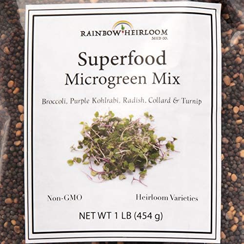 Superfood Microgreen Seeds Mix | for Microgreens Growing Trays | 1 LB | Heirloom Non GMO Purple Kohlrabi, Collard, Radish, Turnip & Broccoli Sprouts Seeds | Rainbow Heirloom Seed Co. - Image 2