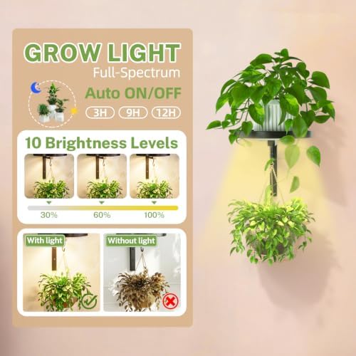 Plant Wall Hanger with Grow Light for Indoor, Metal Hook, Black - Image 3