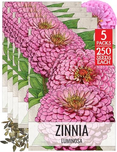 Seed Needs Luminosa Zinnia Seeds to Plant Cut Flowers - 5 Packs by SeedNeeds