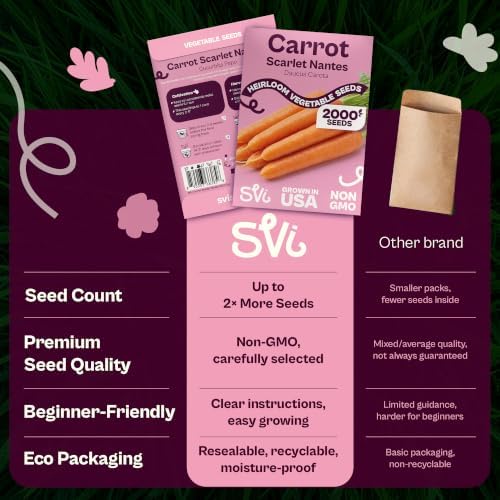 SVI 2000 Scarlet Nantes Carrot Heirloom Vegetable Seeds, Daucus carota - Image 6