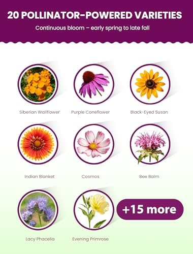 Wildflower Seeds Mix – Pollinator All-Stars, 20 Heirloom Varieties, 112,500+ Seeds (1lb) Covers 1125-1350 sq.ft. – High Germination for Bees, Butterflies, Hummingbirds & Moths Outdoor Garden - Image 3