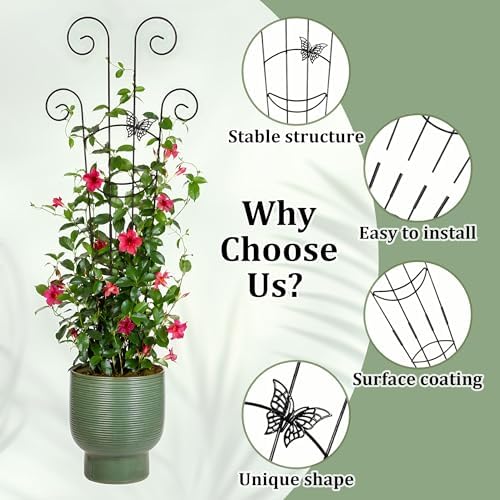 2 Pcs 30'' Monstera Plant Support Stakes, Metal Garden Trellis for Potted Plants Outdoor, Tall Expandable Houseplant Climber Trellis with Butterfly Design for Ivy Hoya Vin (Black) - Image 3
