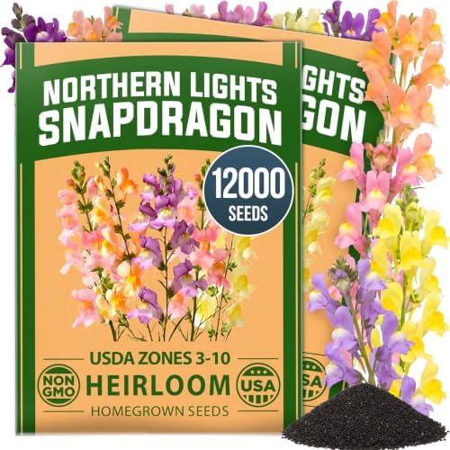 HOME GROWN Northern Lights Snapdragon 12,000 Seeds, Antirrhinum majus by HOMEGROWN