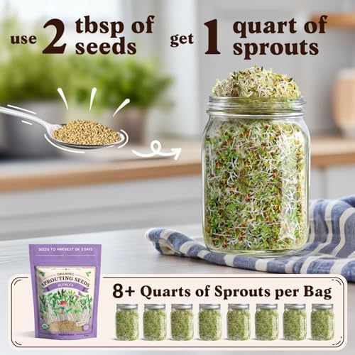 Seedboy Organic Non-GMO Sprouting Seeds (Alfalfa) - Image 2