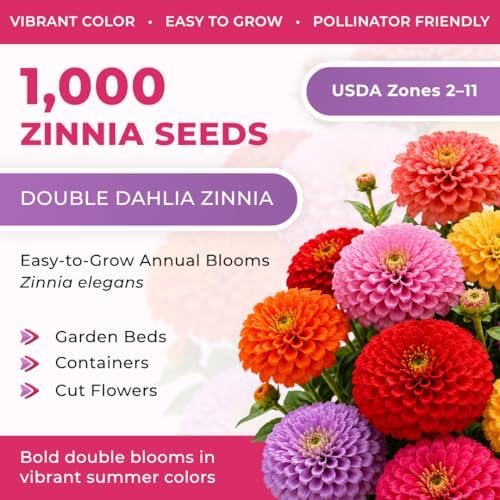 1000+ Zinnia Dahlia Seeds for Planting 2026, Double Dahlia Zinnia Elegans Seeds, Heirloom Non-GMO Mixed Color Annual Flower Seeds for Cut Flower Gardens, Borders & Containers - Image 2