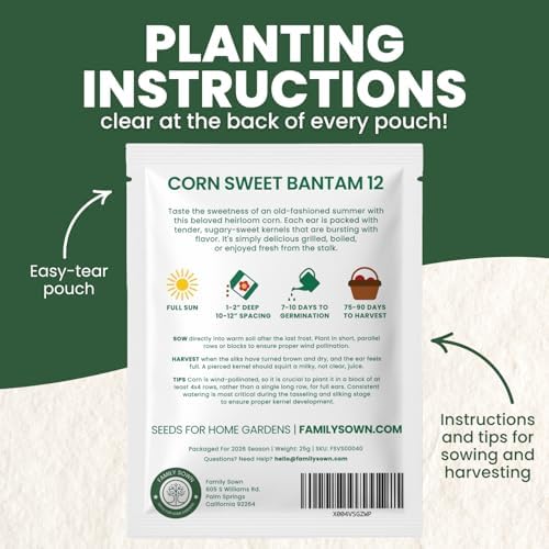 Corn Sweet Bantam 12 – 85 Premium Seeds for Planting – Classic Heirloom Sweet Corn Variety for the 2026 Season – 25 Gram Pouch - Image 3