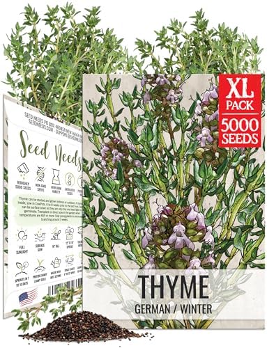 Seed Needs Thyme Seeds to Plant Non-GMO & Heirloom Thymus Herbs XL Pack by SeedNeeds