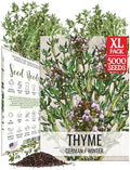 Seed Needs Thyme Seeds to Plant Non-GMO & Heirloom Thymus Herbs XL Pack by SeedNeeds