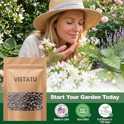 100+ Climbing Jasmine Flower Seeds Fragrant Plant for Planting Garden Home Four Seasons Evergreen Silver Jasmine Garden Balcony Climbing Flower Non-GMO - Image 5