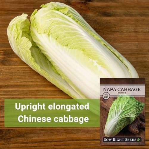 Sow Right Seeds - Hilton Napa Cabbage Seed for Planting Asian Vegetables - Image 3