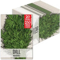Seed Needs Bouquet Dill Seeds to Plant an Herb Garden - 20 Packs by SeedNeeds