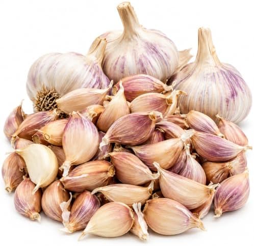 Hardneck Garlic Bulbs for Planting (2 Bulbs) - Image 6