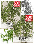 Seed Needs Summer Savory Seeds to Plant an Herb Garden - 2 Packs by SeedNeeds