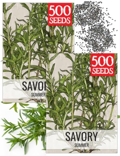 Seed Needs Summer Savory Seeds to Plant an Herb Garden - 2 Packs by SeedNeeds